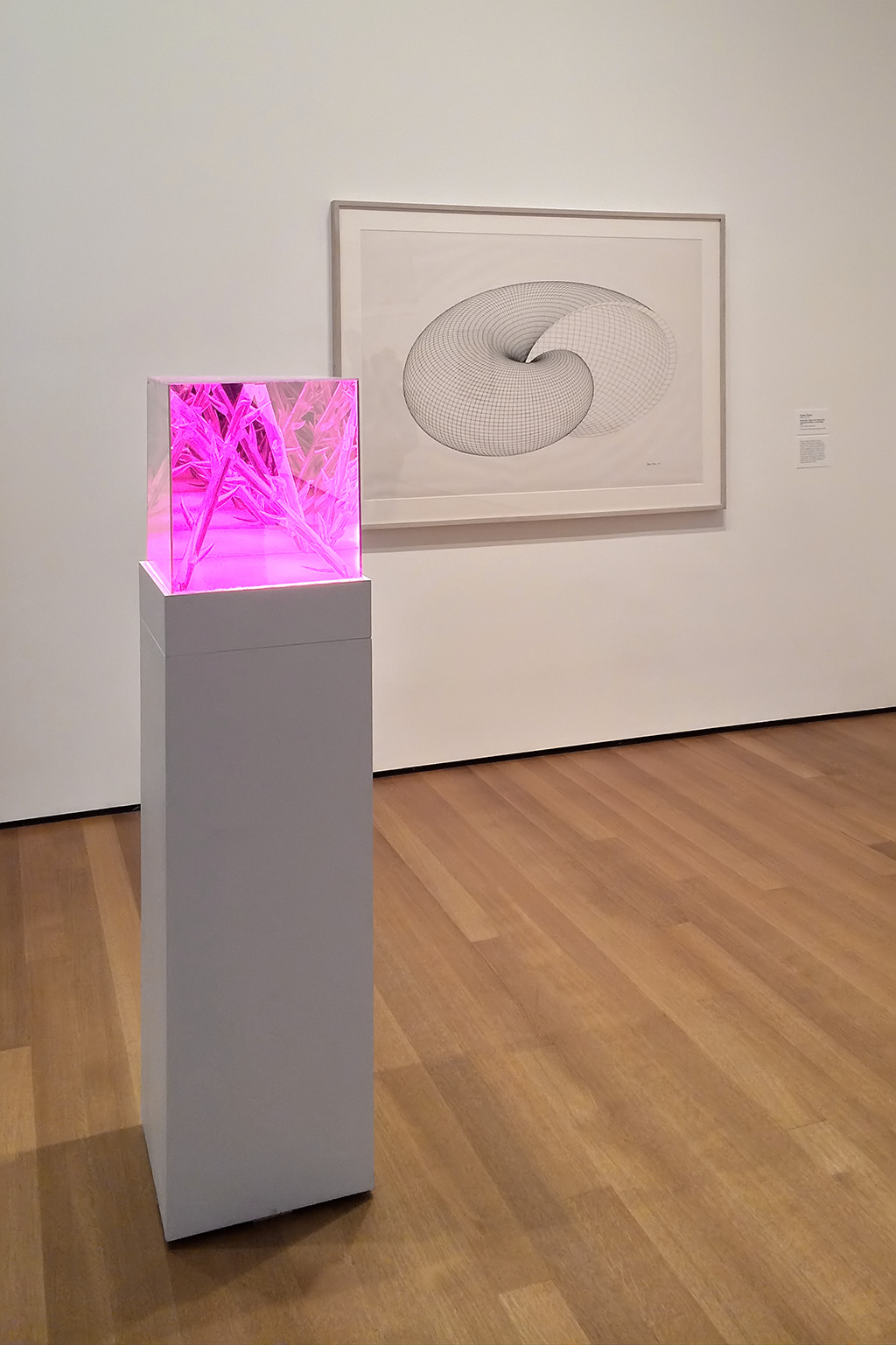 World of Thorns, 1968 (installation view, MoMA 2014 )