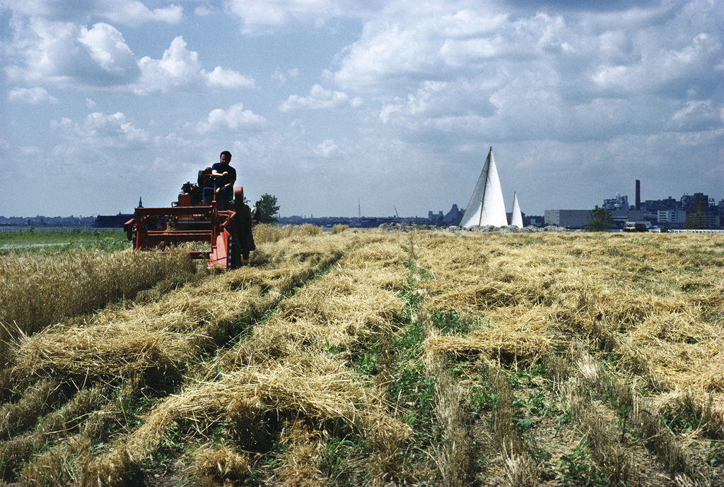 Wheatfield Harvest with Sailboat, 1982