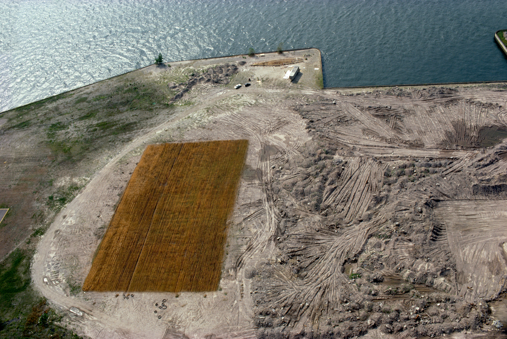 Wheatfield, Arial View, 1982