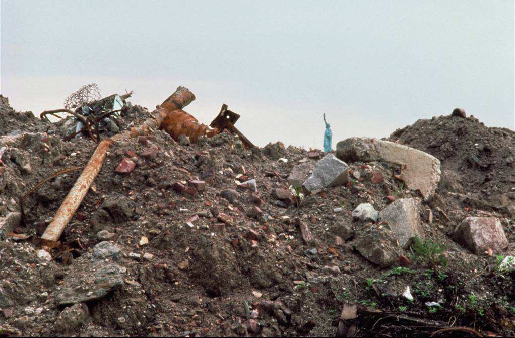 Wheatfield before Planting, 1982