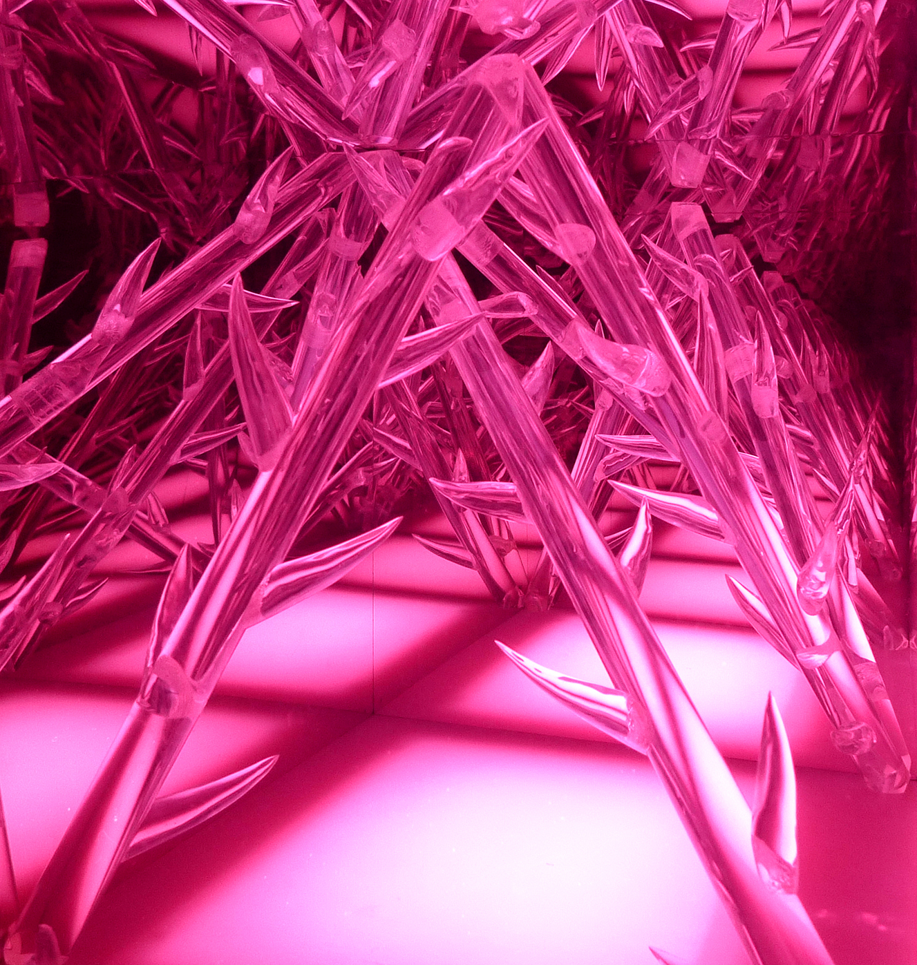 World of Thorns, 1968 (detail view)