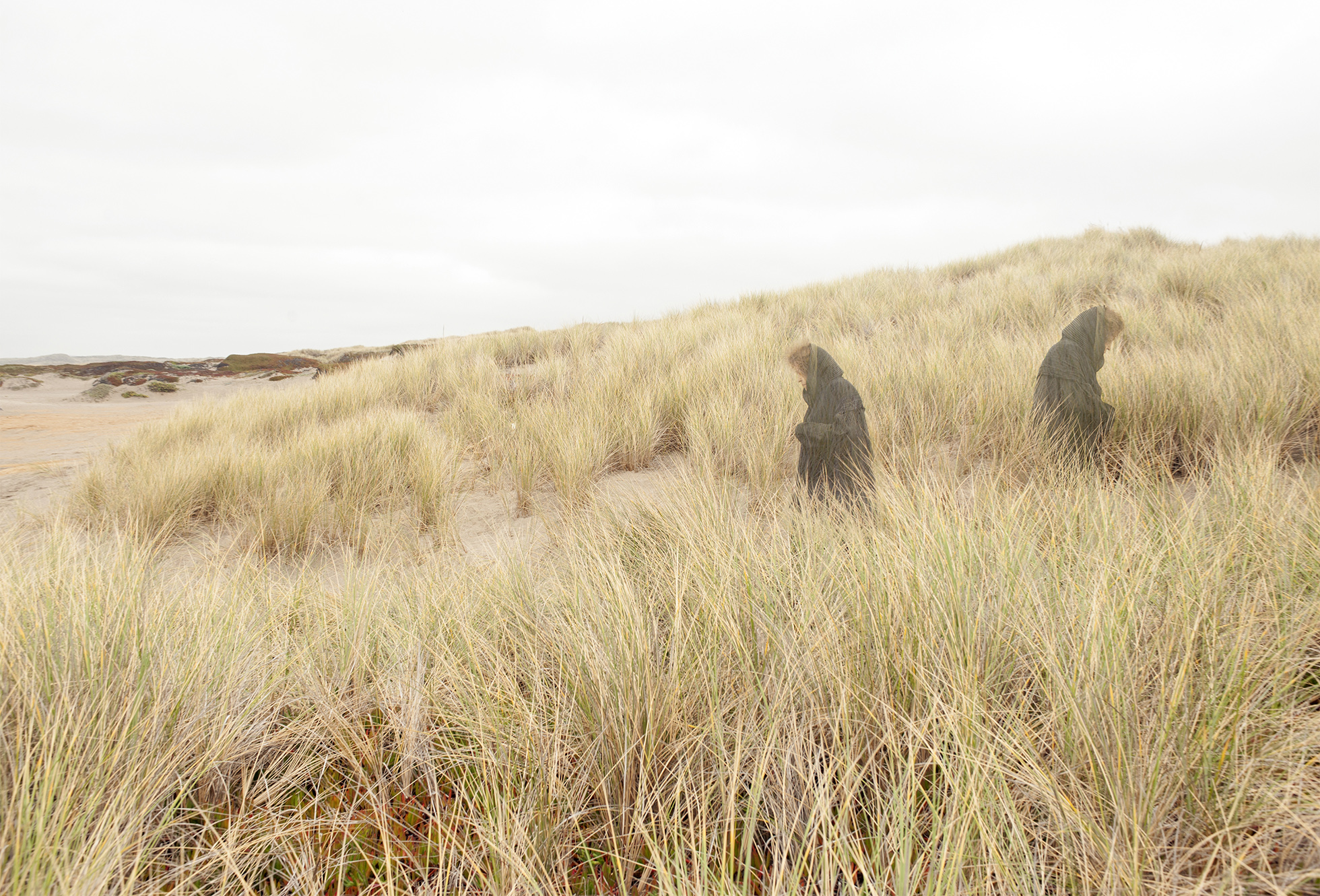 Dune Grass Dark Horizon, 2016