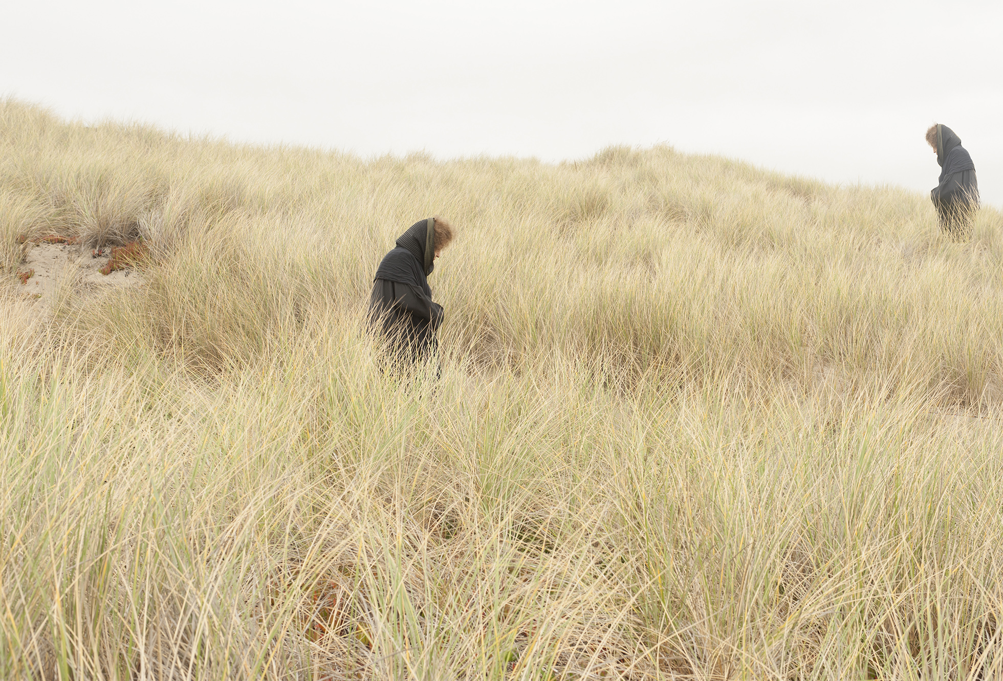 Dune Grass White Sky, 2016