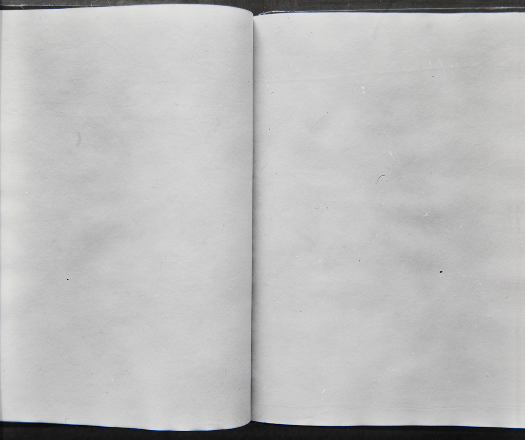 Blank Book, 1977