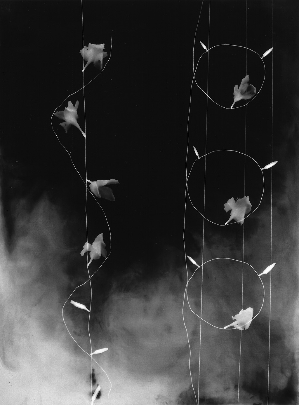 Tendrils A, 1998