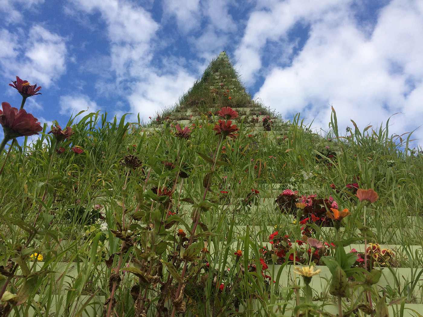 Agnes Denes: Living Pyramid