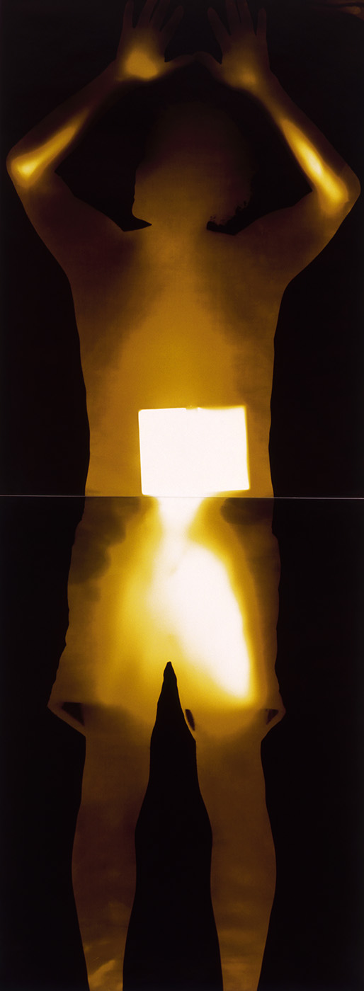 Dennis Oppenheim A, 2002