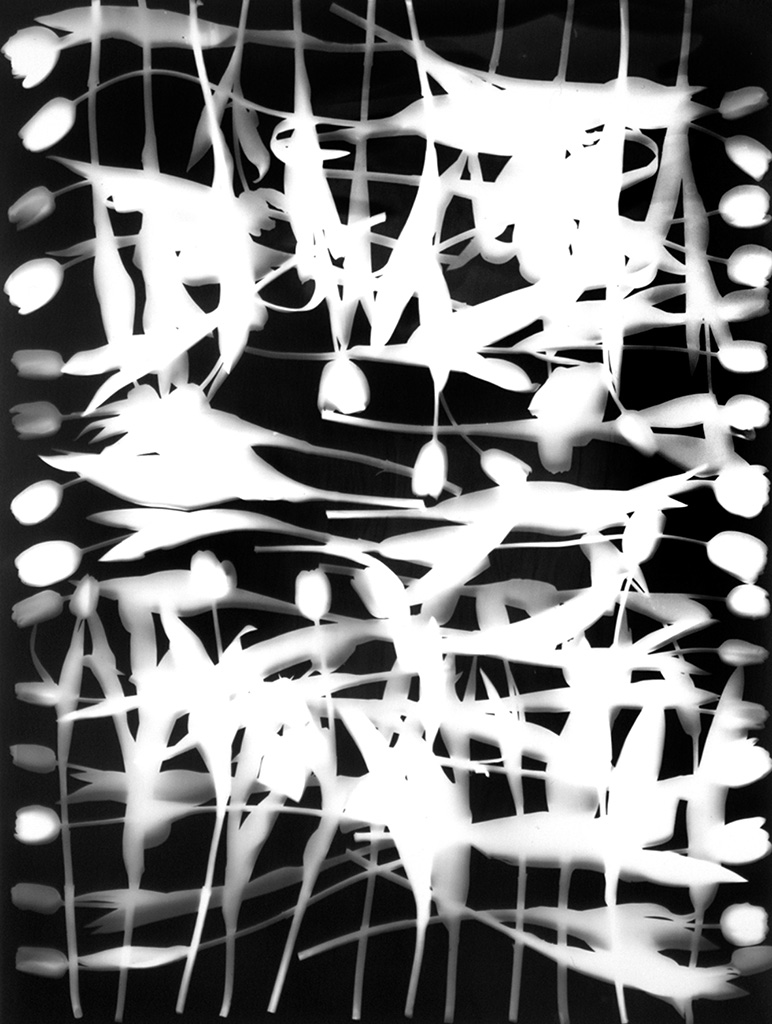 Stacks (Tulips A8), 1999