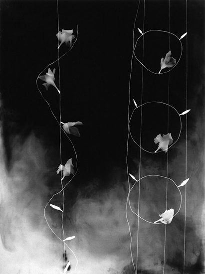 Tendrils A