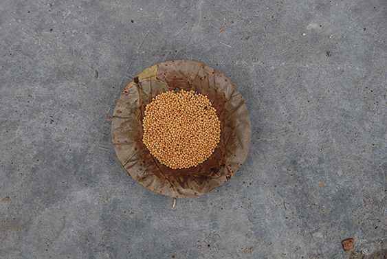 Mahayagna