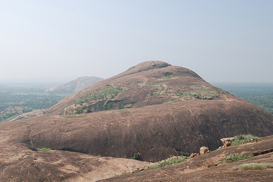 Pulimali