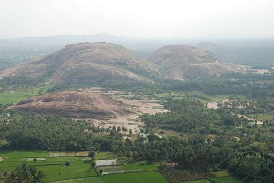 Tiger Mountain