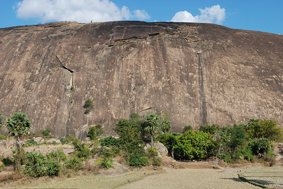 Tiger Mountain