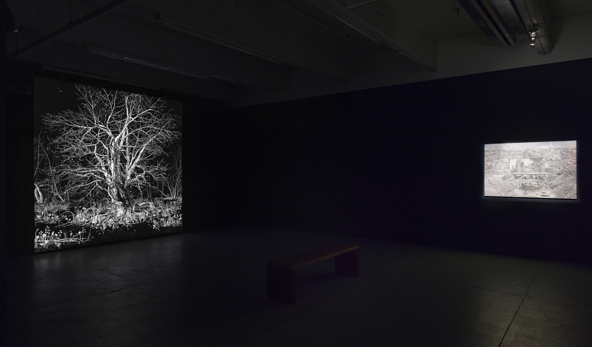 Installation view