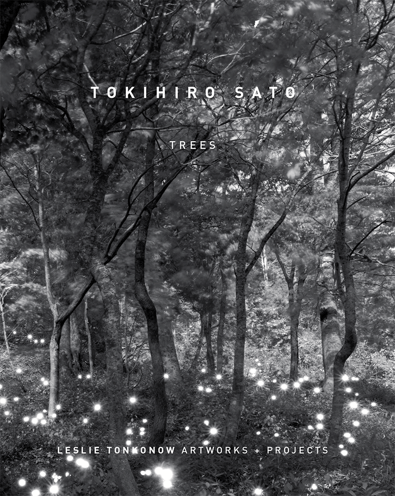 Book Cover for 'Tokihiro Sato: Trees'